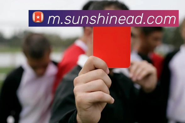 d体育官网APP 封面图